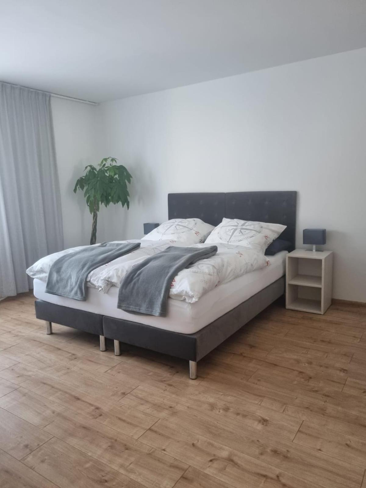 Gaestehaus Windrose Fichtelberg Dış mekan fotoğraf