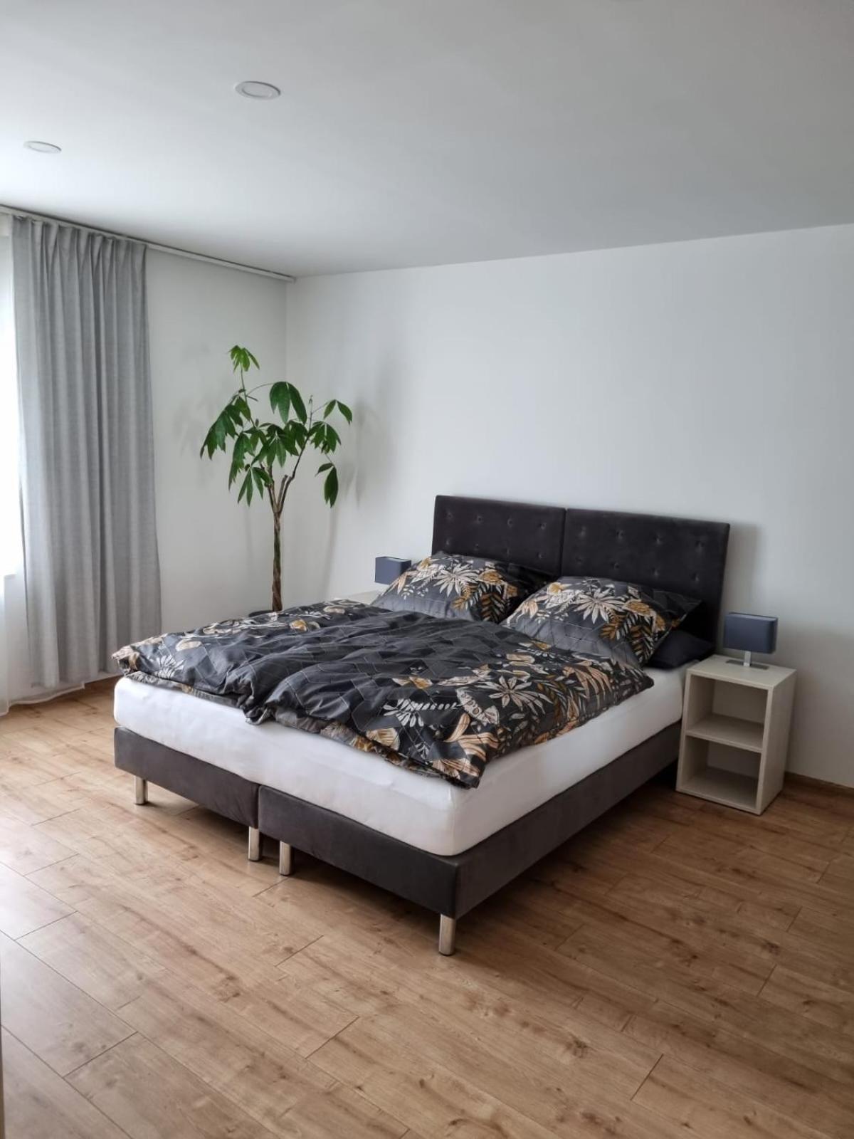 Gaestehaus Windrose Fichtelberg Dış mekan fotoğraf