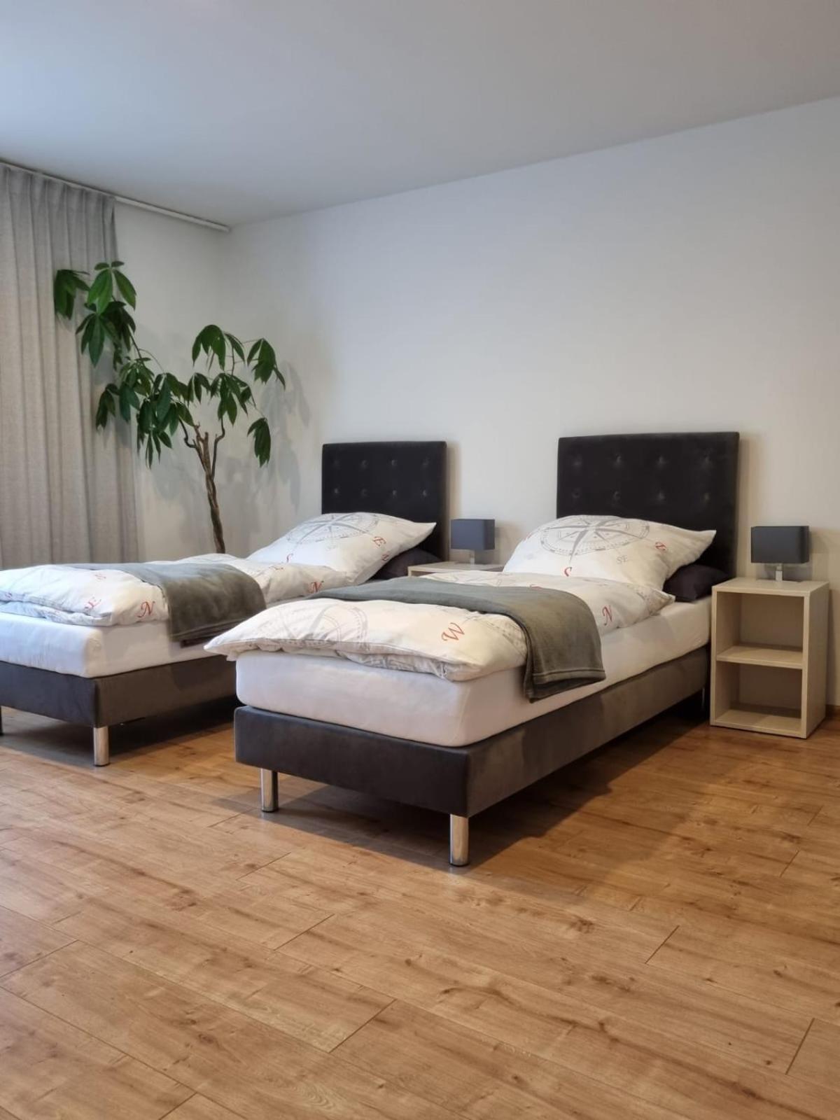 Gaestehaus Windrose Fichtelberg Dış mekan fotoğraf